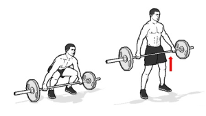 The deadlift is deceptive in its technicality and complexity.